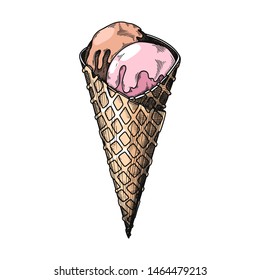 Sketch in a waffle cone. Vector illustration in sketch style.