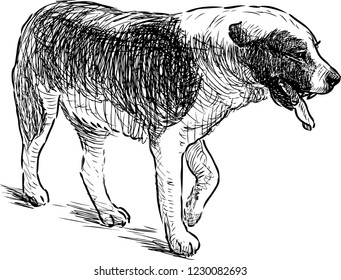 A sketch of a walking dog