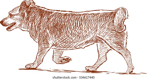 sketch of a walking dog
