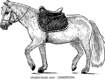 Sketch of a walking harnessed horse
