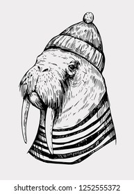 Sketch of a walrus in a cap and sailor shirt. Hand drawn illustration converted to vector