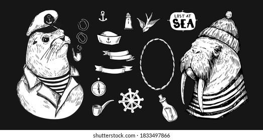 Sketch of a walrus in a cap and sailor shirt. Seal. Sea objects. Hand drawn illustration converted to vector