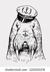 Sketch of a walrus in a captain's cap. Hand drawn illustration converted to vector