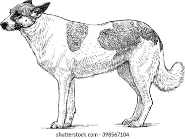 sketch of a watchdog