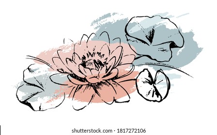 Sketch Water lilies with abstract brush strokes. Isolated on white background. The lotuses and leaves. Artistic isolated design elements. Vector illustration