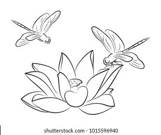 Sketch of water lily