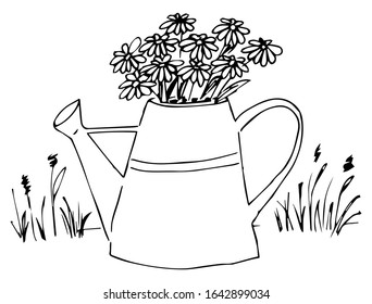 A sketch of a watering can with daisy flowers in it.