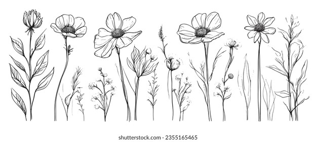 Sketch weeds, herbal, flowers and cereals. Trend elements design. Collection of hand drawn flowers and herbs. Vintage medicinal herbs sketch set ink hand drawn medicinal herbs and plants sketch