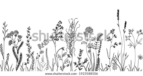 Sketch weeds, herbal, flowers and cereals. Trend\
elements design.