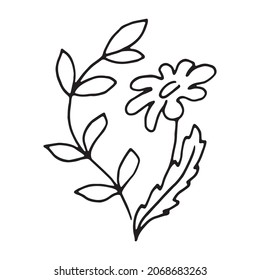 Sketch weeds, herbal, flowers. Vector illustration. 