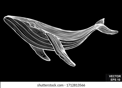 Sketch of a whale on a chalk board in vintage style.