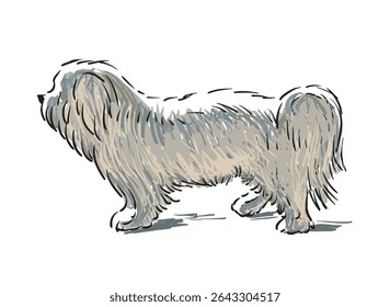 Sketch of white cute lap dog standing, side view, pet, domestic animal, vector realistic  hand drawn illustration isolated on white