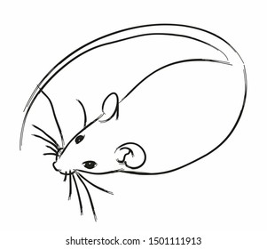 Sketch of a white mouse
