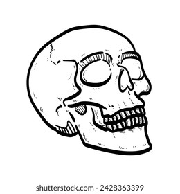 Sketch White old man Skull model simple Background white vector modern illustration
