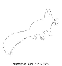 sketch, white squirrel, on white background, icon