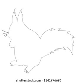 sketch, white squirrel, on white background