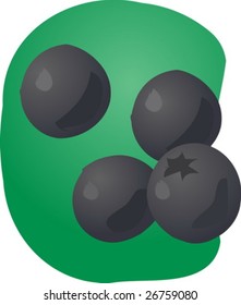 Sketch of whole fresh blueberries, fruit illustration