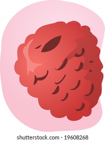 Sketch of whole fresh raspberry, fruit illustration