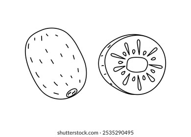 Desenho de um kiwi inteiro e sua seção transversal com estrutura interna detalhada