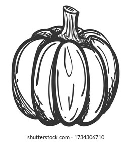 Sketch of a whole pumpkin in Doodle style. Drawing of a ripe pumpkin with hatching. Hand drawn and isolated on a white background. Can be used for thanksgiving, recipes, menus, and harvest festivals