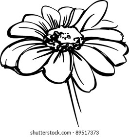 Sketch Wild Flower Resembling A Daisy