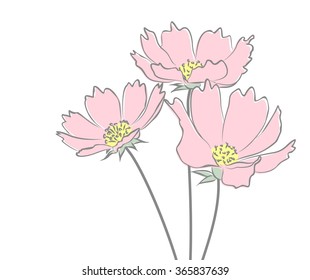 Sketch of wild flowers. 