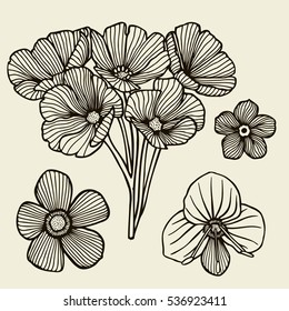 Sketch of wild flowers, hand drawn isolated on a beige background.