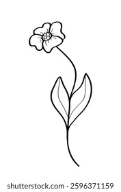 Sketch of a wildflower. Vector illustration of a spring flower icon. Isolate on white.