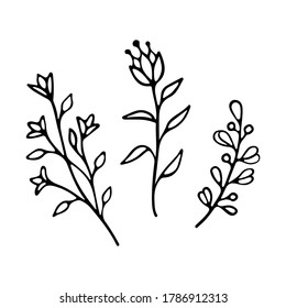 Sketch of wildflowers. Floral doodles design. Botanical elements. Rustic decorative plants. Print for greeting cards, postcards, invitations, stationery, labels, tags, logo and branding. Silhouette.