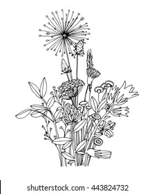 Sketch of the wildflowers on a white background. Hand drawn illustration. Coloring book.