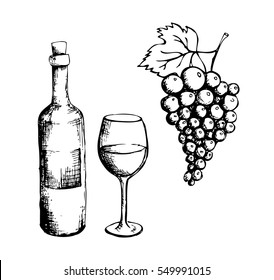Sketch wine bottle  glass   grapes