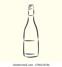 Sketch wine bottle . wine bottle, vector sketch illustration