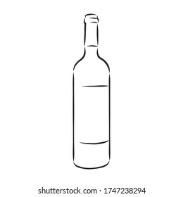 Sketch wine bottle . wine bottle, vector sketch illustration