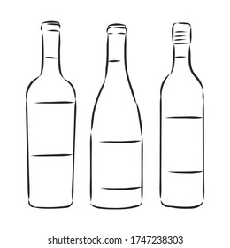 Sketch wine bottle . wine bottle, vector sketch illustration