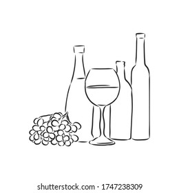 Sketch wine bottle . wine bottle, vector sketch illustration