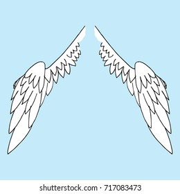 Sketch of the wings. Wings down. Vector illustration.