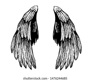 Sketch Wings Hand Drawn Illustration Converted Stock Vector (Royalty ...