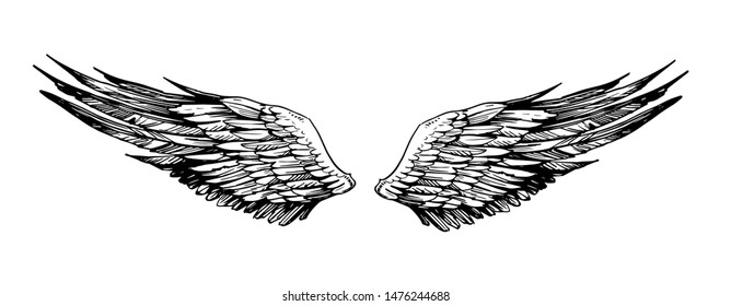 Sketch of wings. Hand drawn illustration converted to vector