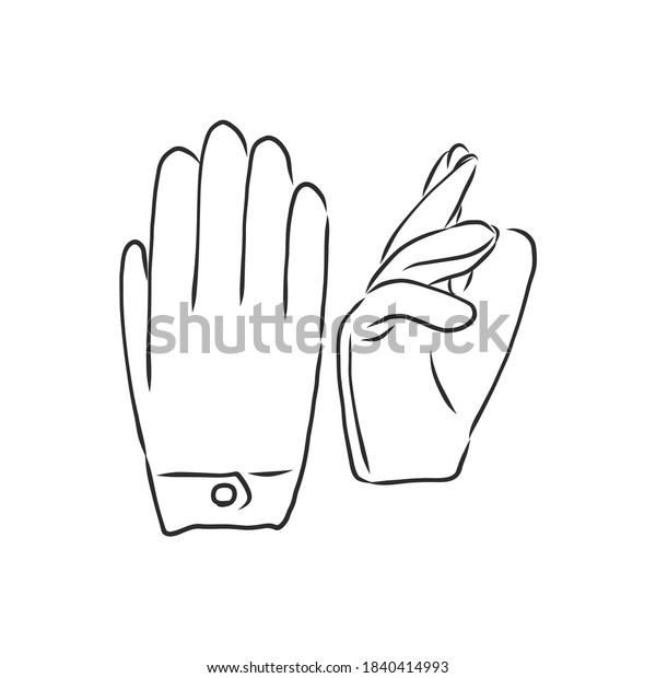 Sketch\
of winter gloves, vector illustration isoltaed on white background,\
pair of gloves, gloves, vector sketch\
illustration