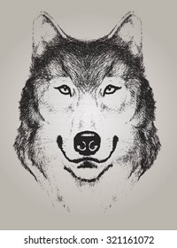 sketch of a wolf face isolated