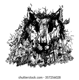 sketch of a wolf in the forest. Sketch of bringing the wolf. the image of the wolf
