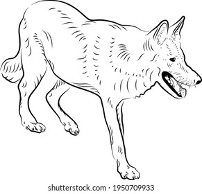 Sketch of wolf. Minimalistic style.