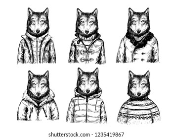 Sketch of wolfs in winter jackets. Hand drawn vector illustration