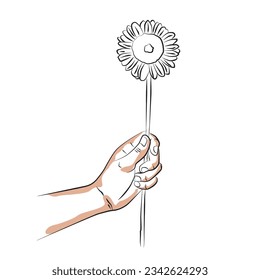 sketch woman hand holding a red ros