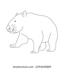 Sketch of Wombat. Hand drawn vector illustration.