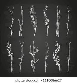 Sketch wood branches set on blackboard. Branch wood tree, nature stick twig. Vector illustration