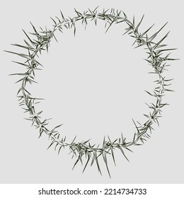 Skizze des Krandes von prickligen Dornen