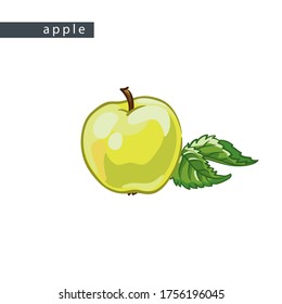 sketch yellow apple: 
one small fruit with leaves