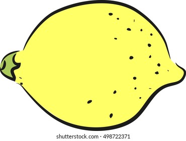 Sketch of yellow lemon 