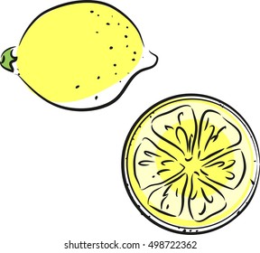 Sketch of yellow lemon and lemon slice